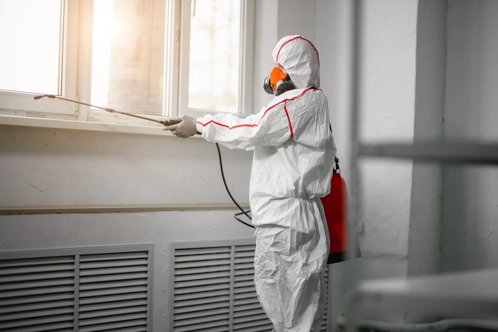 Professional mold remediation services in Minnetonka, MN